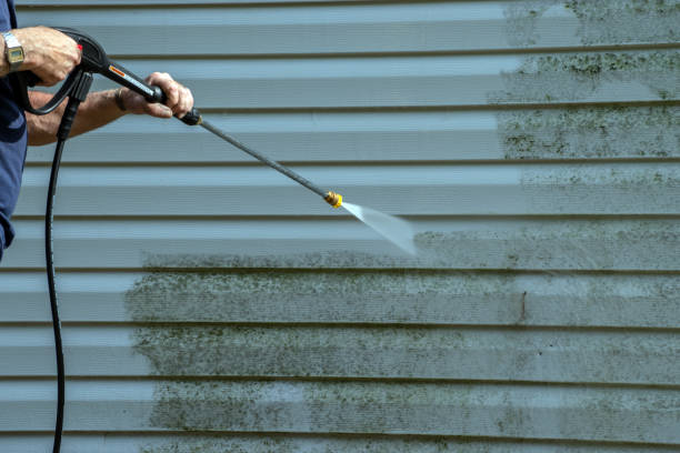 Best Roof Pressure Washing  in Paris, TN