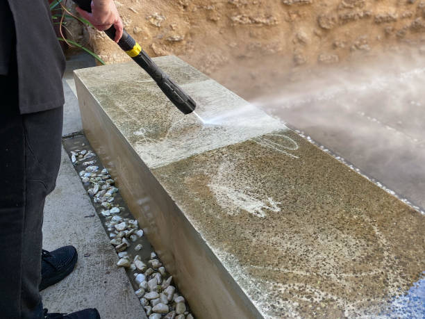 Best Residential Pressure Washing Services  in Paris, TN