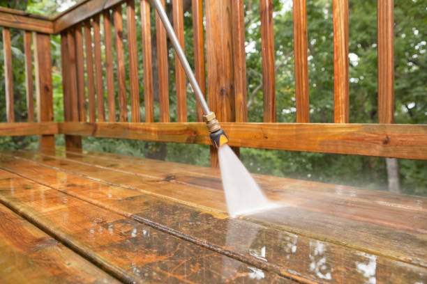 Best Affordable Pressure Washing  in Paris, TN