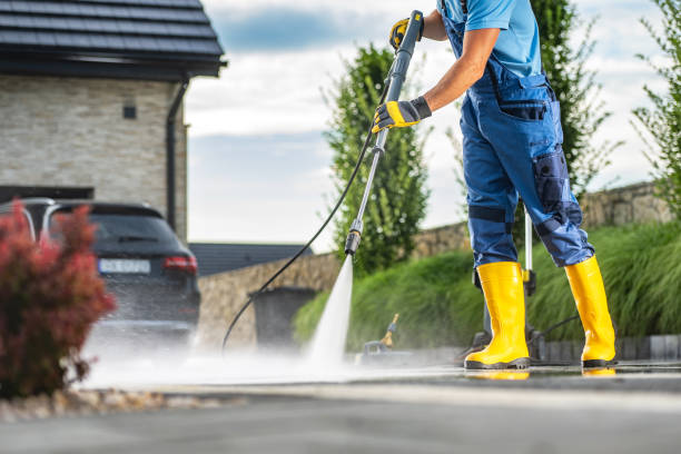 Best Exterior Home Cleaning  in Paris, TN