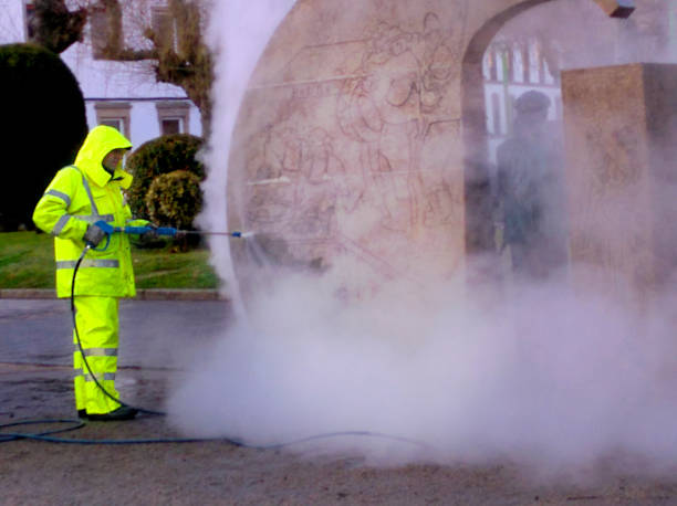 Best Local Pressure Washing Services  in Paris, TN