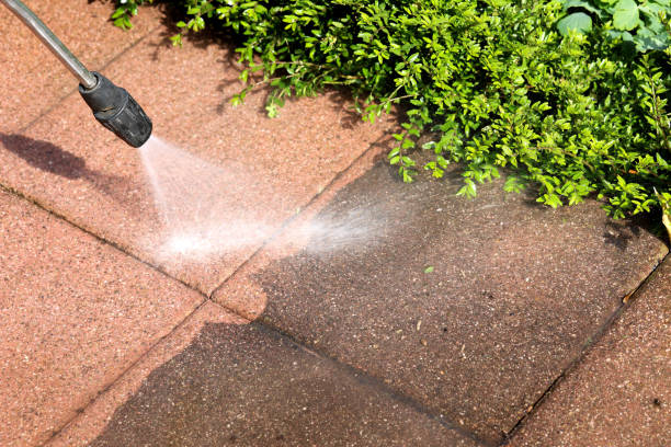Best Deck Cleaning Services  in Paris, TN